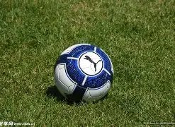 中超跑动王,约契奇独占,鳌头,55125中国彩吧,彩票分析,数据预测,彩票平台,在线投注