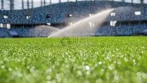 贝莱斯篮球精彩瞬间