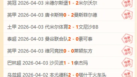 马修-瑞安：我国国家队实力雄厚，面临诸多挑战
